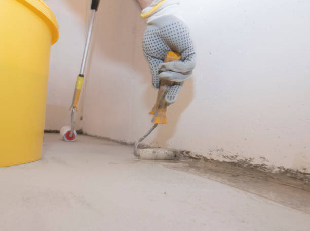 Pest Control for Hotels in Holbrook, AZ